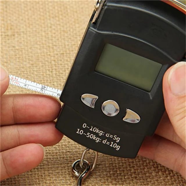 Portable electronic scale